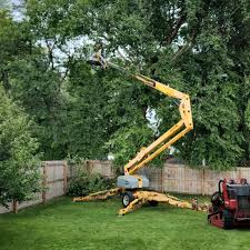 Best Fruit Tree Pruning  in Lake Shore, MN