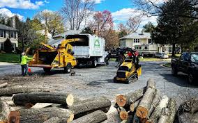 Best Storm Damage Tree Cleanup  in Lake Shore, MN